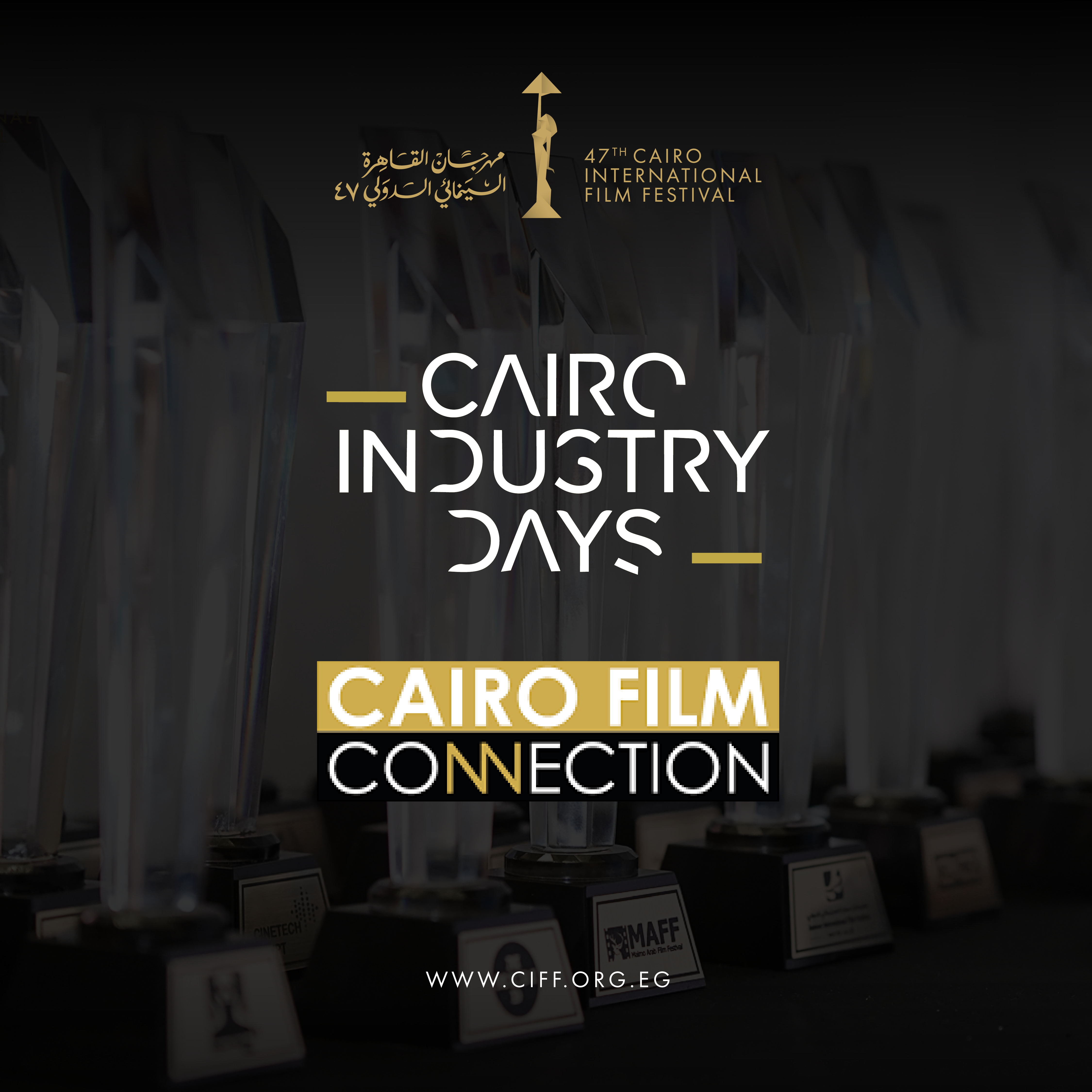 Cairo Film Connection Hosts Session for Selected Alumni Filmmakers with Sundance Documentary Fund