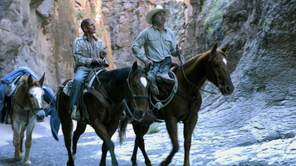 السينما المكسيكية ضيف شرف  الدورة 41 لمهرجان القاهرة السينمائي